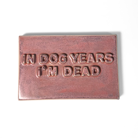 A rectangular magenta-colored ceramic sign with text reading 'IN DOG YEARS I'M DEAD' on a plain white background.