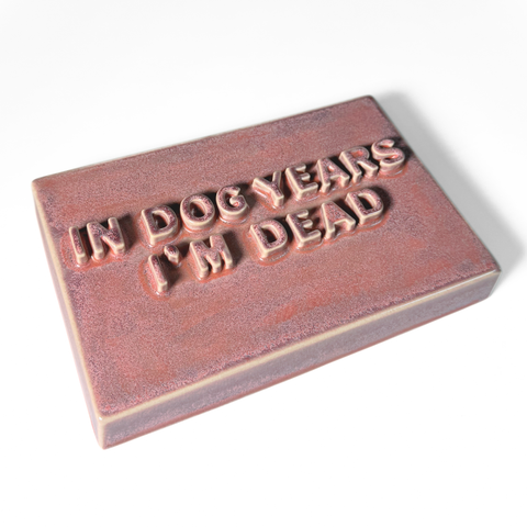 A rectangular magenta-colored ceramic sign with text reading 'IN DOG YEARS I'M DEAD' on a plain white background.